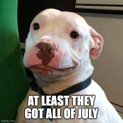 at least dog | AT LEAST THEY GOT ALL OF JULY | image tagged in at least dog | made w/ Imgflip meme maker