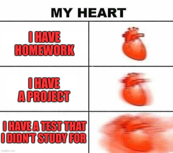 This happened to me once and it sucked | I HAVE HOMEWORK; I HAVE A PROJECT; I HAVE A TEST THAT I DIDN’T STUDY FOR | image tagged in my heart blank,memes,funny,relatable | made w/ Imgflip meme maker