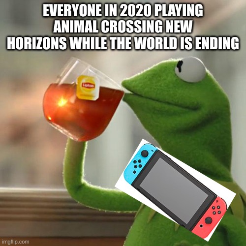 ignore it | EVERYONE IN 2020 PLAYING ANIMAL CROSSING NEW HORIZONS WHILE THE WORLD IS ENDING | image tagged in memes,but that's none of my business,kermit the frog,nintendo switch,animal crossing,2020 | made w/ Imgflip meme maker