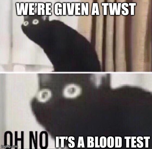 School test | WE’RE GIVEN A TWST; IT’S A BLOOD TEST | image tagged in oh no cat,blood test,test | made w/ Imgflip meme maker