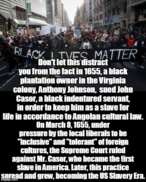 History does not care about your feelings. | Don't let this distract you from the fact in 1655, a black plantation owner in the Virginia colony, Anthony Johnson,  sued John Casor, a black indentured servant, in order to keep him as a slave for life in accordance to Angolan cultural law. On March 8, 1655, under pressure by the local liberals to be "inclusive" and "tolerant" of foreign cultures, the Supreme Court ruled against Mr. Casor, who became the first slave in America. Later, this practice spread and grew, becoming the US Slavery Era. | image tagged in black lives matter,casor vs anthony,american slavery,history,truth,america | made w/ Imgflip meme maker