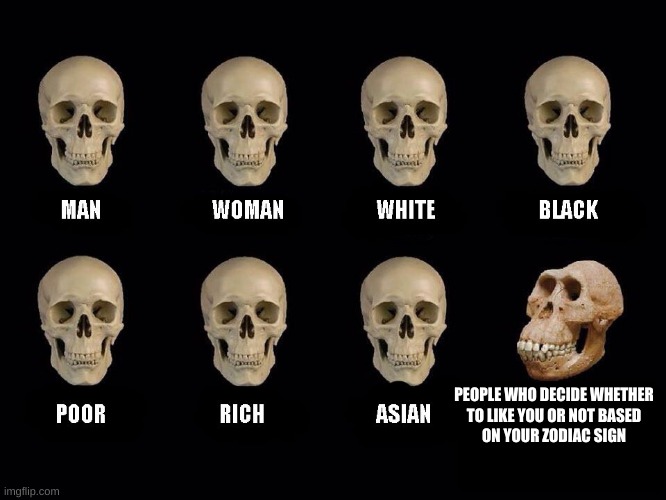 empty skulls of truth | PEOPLE WHO DECIDE WHETHER
 TO LIKE YOU OR NOT BASED 
ON YOUR ZODIAC SIGN | image tagged in empty skulls of truth,lol,true | made w/ Imgflip meme maker