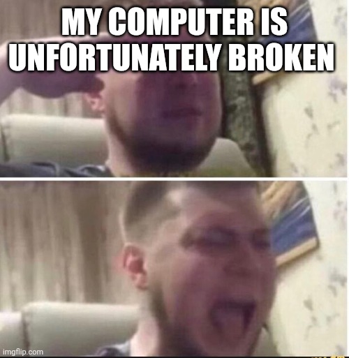 Crying salute | MY COMPUTER IS UNFORTUNATELY BROKEN | image tagged in crying salute | made w/ Imgflip meme maker