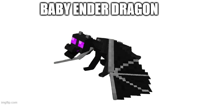 edor draygn | BABY ENDER DRAGON | image tagged in dragon,baby | made w/ Imgflip meme maker