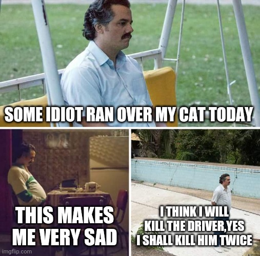 Sad Pablo Escobar | SOME IDIOT RAN OVER MY CAT TODAY; THIS MAKES ME VERY SAD; I THINK I WILL KILL THE DRIVER,YES I SHALL KILL HIM TWICE | image tagged in memes,sad pablo escobar | made w/ Imgflip meme maker
