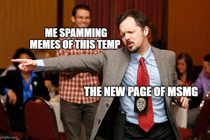 Two dudes | ME SPAMMING MEMES OF THIS TEMP; THE NEW PAGE OF MSMG | image tagged in two dudes | made w/ Imgflip meme maker