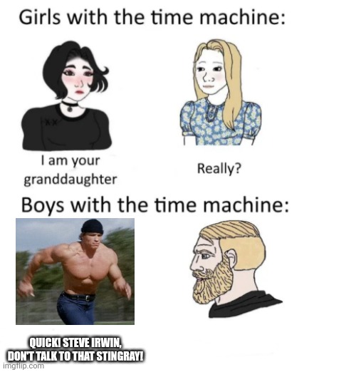 woman vs man time travel | QUICK! STEVE IRWIN, DON'T TALK TO THAT STINGRAY! | image tagged in woman vs man time travel,steveirwin | made w/ Imgflip meme maker
