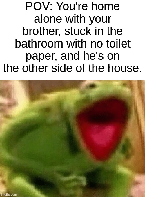 Happened to you before? | POV: You're home alone with your brother, stuck in the bathroom with no toilet paper, and he's on the other side of the house. | image tagged in blank white template,e g kermit yelling,bathroom,why,no more toilet paper,funny memes | made w/ Imgflip meme maker