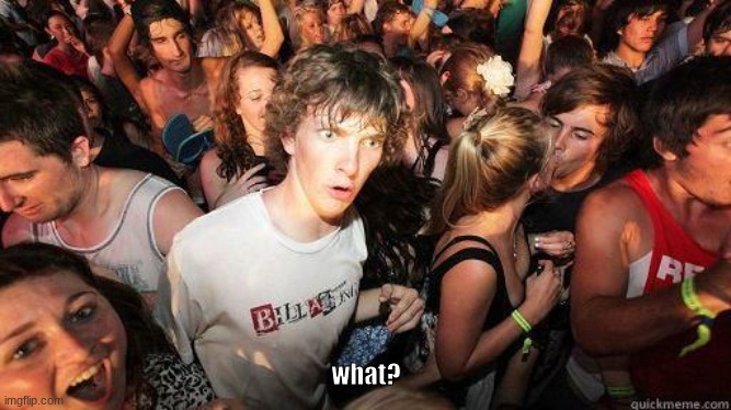 Sudden Realization | what? | image tagged in sudden realization | made w/ Imgflip meme maker
