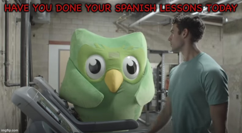 Dulingo Watching | HAVE YOU DONE YOUR SPANISH LESSONS TODAY | image tagged in dulingo watching | made w/ Imgflip meme maker