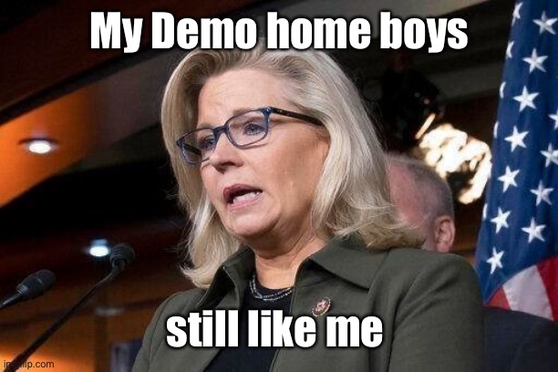 Liz Cheney | My Demo home boys still like me | image tagged in liz cheney | made w/ Imgflip meme maker