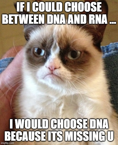 IF I COULD CHOOSE BETWEEN DNA AND RNA ... I WOULD CHOOSE DNA BECAUSE ITS MISSING U | image tagged in grumpy cat memes,biology memes,dna and rna memes | made w/ Imgflip meme maker
