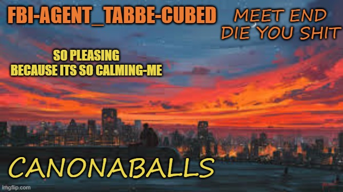 POV: your playing COD with me and im not giving any shade of shit :3 | MEET END
DIE YOU SHIT; CANONABALLS | image tagged in my sunset temp p | made w/ Imgflip meme maker