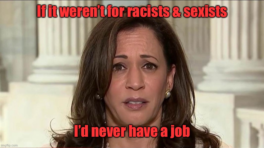 kamala harris | If it weren’t for racists & sexists I’d never have a job | image tagged in kamala harris | made w/ Imgflip meme maker