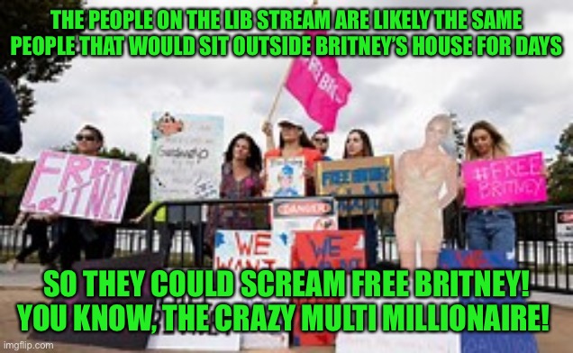 The free Britney crowd have nothing better to do | THE PEOPLE ON THE LIB STREAM ARE LIKELY THE SAME PEOPLE THAT WOULD SIT OUTSIDE BRITNEY’S HOUSE FOR DAYS; SO THEY COULD SCREAM FREE BRITNEY! YOU KNOW, THE CRAZY MULTI MILLIONAIRE! | image tagged in free britney,leftists,democratic socialism,jobless,mindless | made w/ Imgflip meme maker