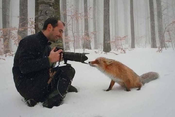 High Quality Photographer Meets Fox Blank Meme Template