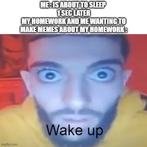 Its 1:39 when i did this meme | ME : IS ABOUT TO SLEEP 
1 SEC LATER
MY HOMEWORK AND ME WANTING TO MAKE MEMES ABOUT MY HOMEWORK :; Wake up | image tagged in school,middle school | made w/ Imgflip meme maker