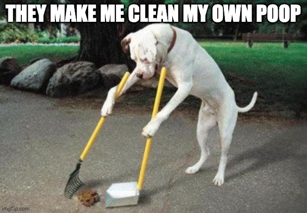 Dog poop | THEY MAKE ME CLEAN MY OWN POOP | image tagged in dog poop | made w/ Imgflip meme maker