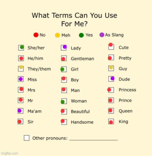 My pronouns! | image tagged in pronouns sheet,pronouns,lgbtq | made w/ Imgflip meme maker