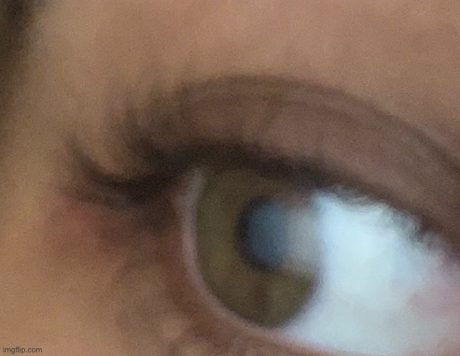 the cinny eye | image tagged in this is like a month okd | made w/ Imgflip meme maker