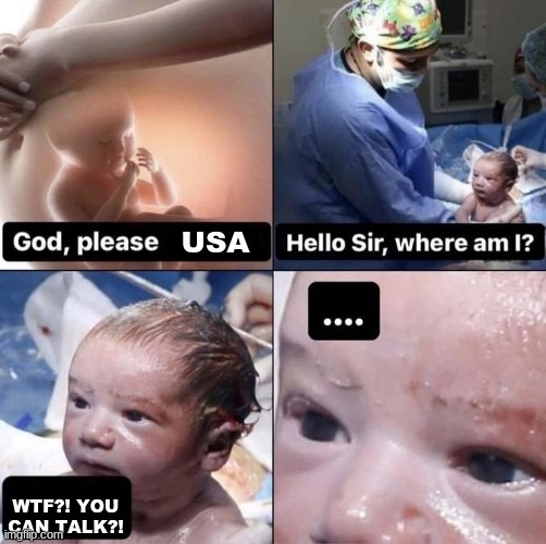 Why can it talk? | USA; WTF?! YOU CAN TALK?! | image tagged in hello sir where am i | made w/ Imgflip meme maker