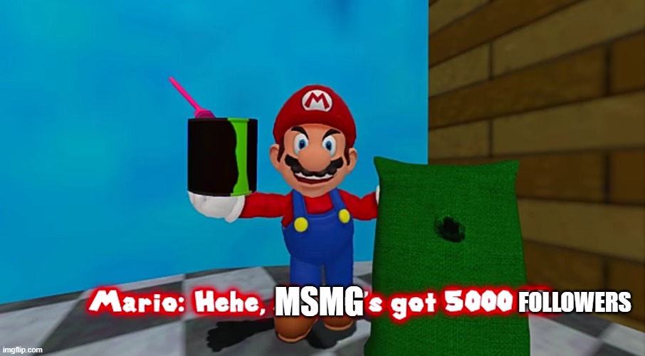 Y e s . | FOLLOWERS; MSMG | image tagged in hehe marios got 5000 iq | made w/ Imgflip meme maker