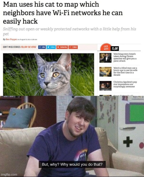 Who would do this? | image tagged in but why why would you do that,memes,funny,wtf | made w/ Imgflip meme maker