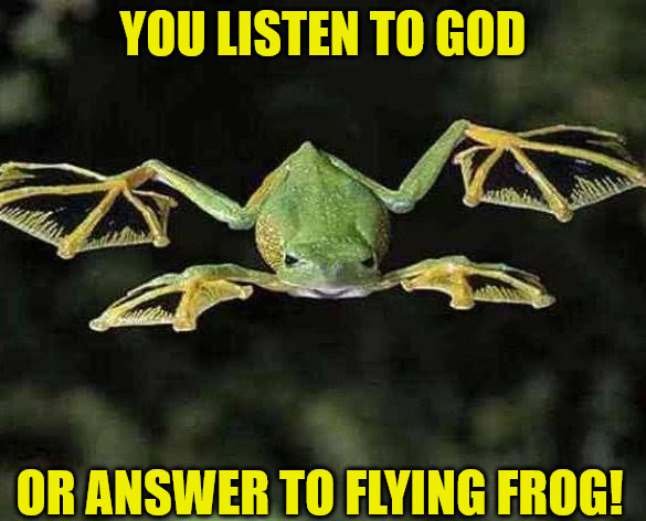 Plague:  Engaged | YOU LISTEN TO GOD; OR ANSWER TO FLYING FROG! | image tagged in frog,dank,christian,memes,r/dankchristianmemes | made w/ Imgflip meme maker