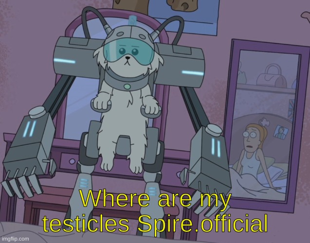Where are my testicles summer  | Where are my testicles Spire.official | image tagged in where are my testicles summer | made w/ Imgflip meme maker