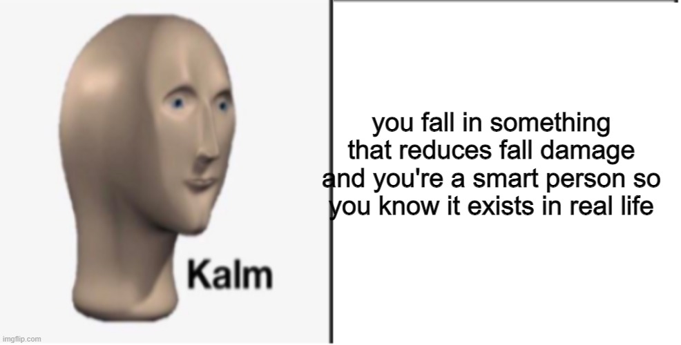 Just Kalm. | you fall in something that reduces fall damage and you're a smart person so you know it exists in real life | image tagged in just kalm | made w/ Imgflip meme maker