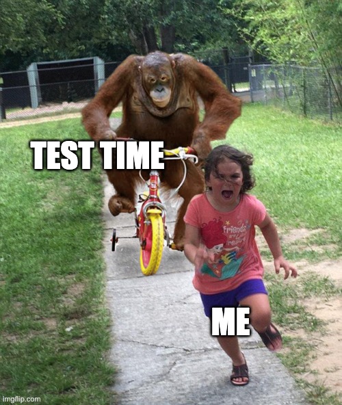 Orangutan chasing girl on a tricycle | TEST TIME; ME | image tagged in orangutan chasing girl on a tricycle | made w/ Imgflip meme maker