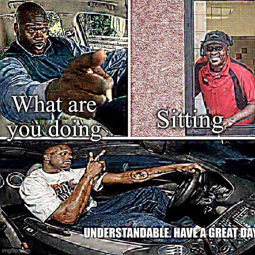 Understandable, have a great day | What are you doing; Sitting | image tagged in understandable have a great day | made w/ Imgflip meme maker