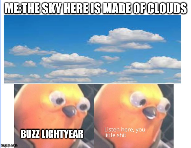 I am defying the laws of memes | ME:THE SKY HERE IS MADE OF CLOUDS; BUZZ LIGHTYEAR | image tagged in listen here you little shit | made w/ Imgflip meme maker