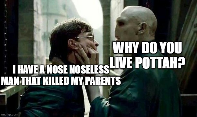 Voldemort and Harry | WHY DO YOU LIVE POTTAH? I HAVE A NOSE NOSELESS MAN THAT KILLED MY PARENTS | image tagged in voldemort and harry | made w/ Imgflip meme maker