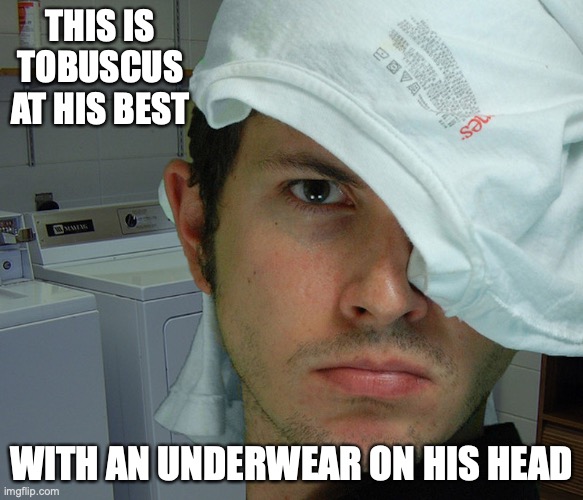 Tobuscus Underwear | THIS IS TOBUSCUS AT HIS BEST; WITH AN UNDERWEAR ON HIS HEAD | image tagged in memes,tobuscus,youtube,funny | made w/ Imgflip meme maker