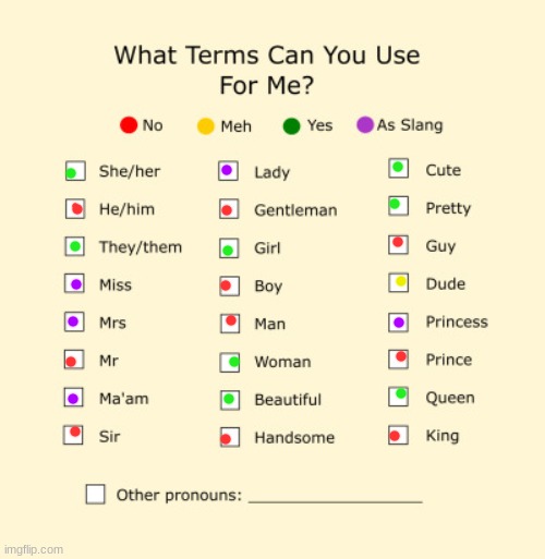 E | image tagged in pronouns sheet | made w/ Imgflip meme maker