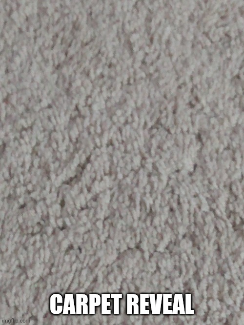 H | CARPET REVEAL | made w/ Imgflip meme maker