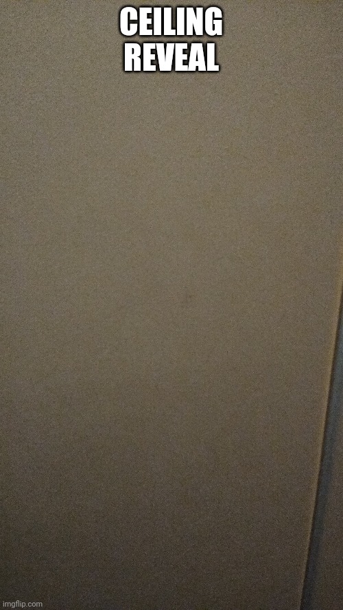 CEILING REVEAL | made w/ Imgflip meme maker