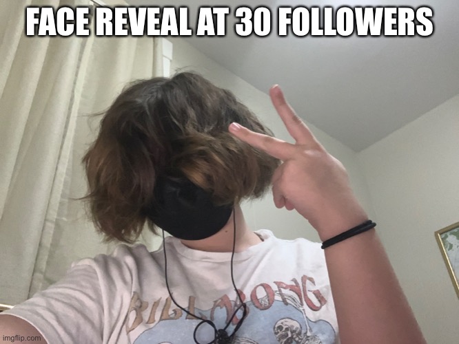 i've alr done one but that was like 6 months ago and it'w not visible on imgflip anymore | FACE REVEAL AT 30 FOLLOWERS | made w/ Imgflip meme maker