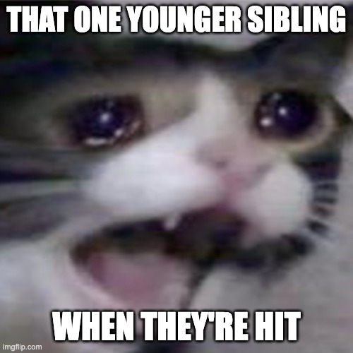 That one younger sibling | THAT ONE YOUNGER SIBLING; WHEN THEY'RE HIT | image tagged in jackalopianswhereuat,thatyoungersibling,cat,memes,funny,screeee | made w/ Imgflip meme maker