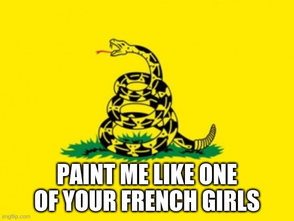 Too late for no politics | PAINT ME LIKE ONE OF YOUR FRENCH GIRLS | image tagged in gadsden flag | made w/ Imgflip meme maker