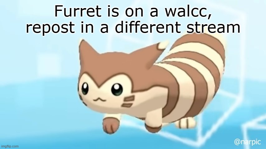 Repost Furret | Furret is on a walcc, repost in a different stream | image tagged in furret walcc | made w/ Imgflip meme maker