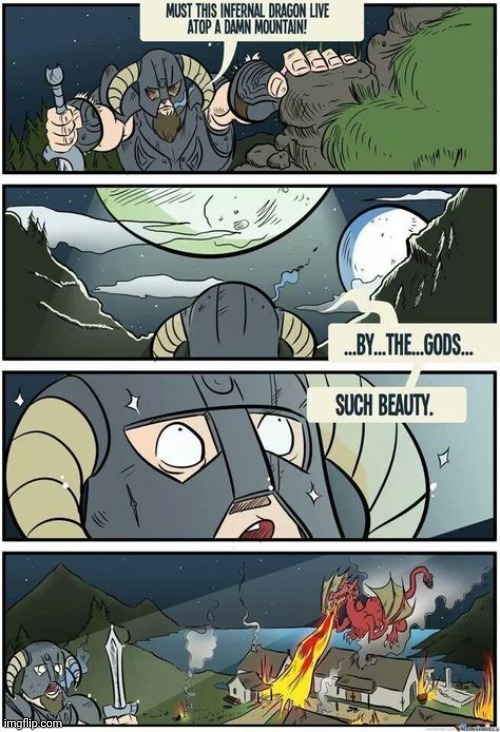 THE DRAGON LIKES THE VIEW OF THE BURNING VILLAGE | image tagged in skyrim,skyrim meme,dragon,comics/cartoons | made w/ Imgflip meme maker