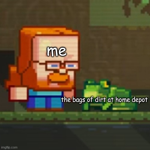 Jeb looking at frog | me; the bags of dirt at home depot | image tagged in jeb looking at frog | made w/ Imgflip meme maker