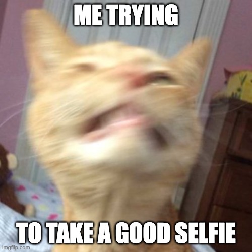 Who can relate | ME TRYING; TO TAKE A GOOD SELFIE | image tagged in jackalopianswhereuat,memes,cat,selfie,funny,relatable | made w/ Imgflip meme maker
