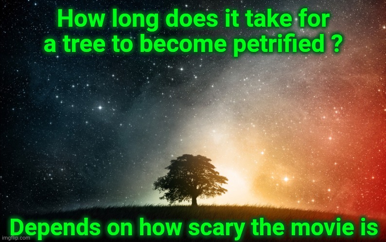 Ba-Dum-Bum-CHING ! |  How long does it take for a tree to become petrified ? Depends on how scary the movie is | image tagged in solitary tree,memes,silly,funny kids,goofy memes,no just no | made w/ Imgflip meme maker