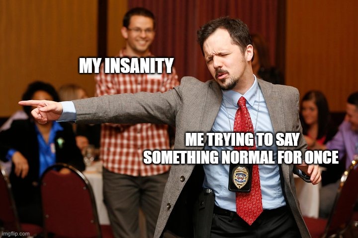 Two dudes | MY INSANITY; ME TRYING TO SAY SOMETHING NORMAL FOR ONCE | image tagged in two dudes | made w/ Imgflip meme maker