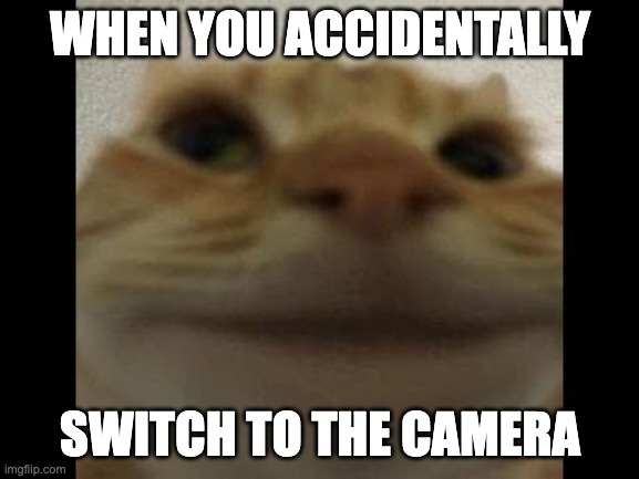 the bad angles be like | WHEN YOU ACCIDENTALLY; SWITCH TO THE CAMERA | image tagged in jackalopianswhereuat,meme,cat,camera,badangle,funny | made w/ Imgflip meme maker