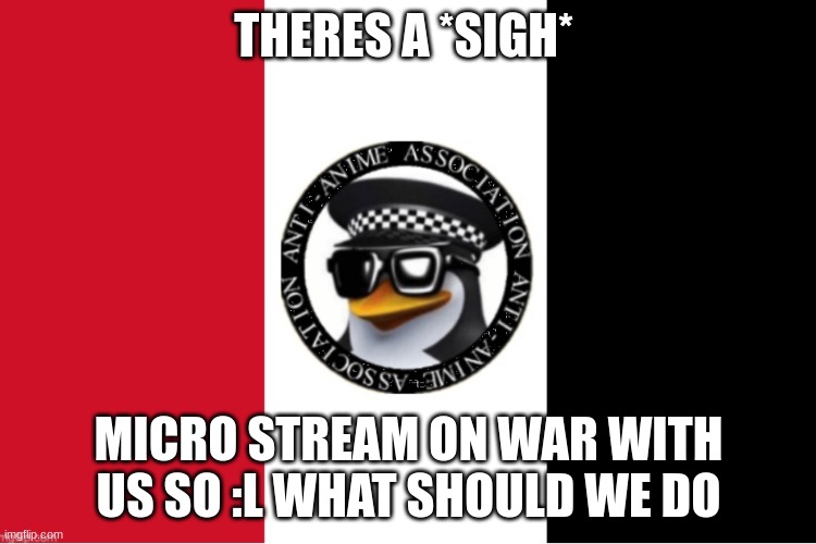 bruh |  THERES A *SIGH*; MICRO STREAM ON WAR WITH US SO :L WHAT SHOULD WE DO | image tagged in major_ethan temp | made w/ Imgflip meme maker