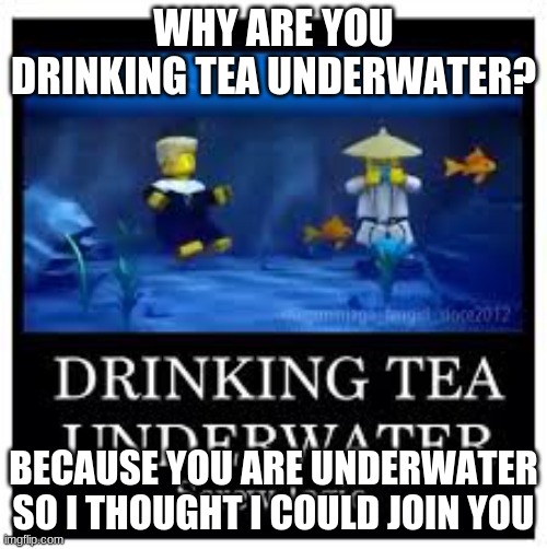 Ninjago Logic | WHY ARE YOU DRINKING TEA UNDERWATER? BECAUSE YOU ARE UNDERWATER SO I THOUGHT I COULD JOIN YOU | image tagged in ninjago logic | made w/ Imgflip meme maker